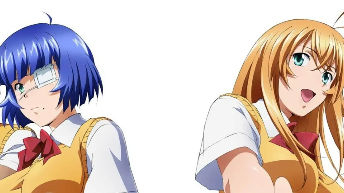 Shin Ikkitousen